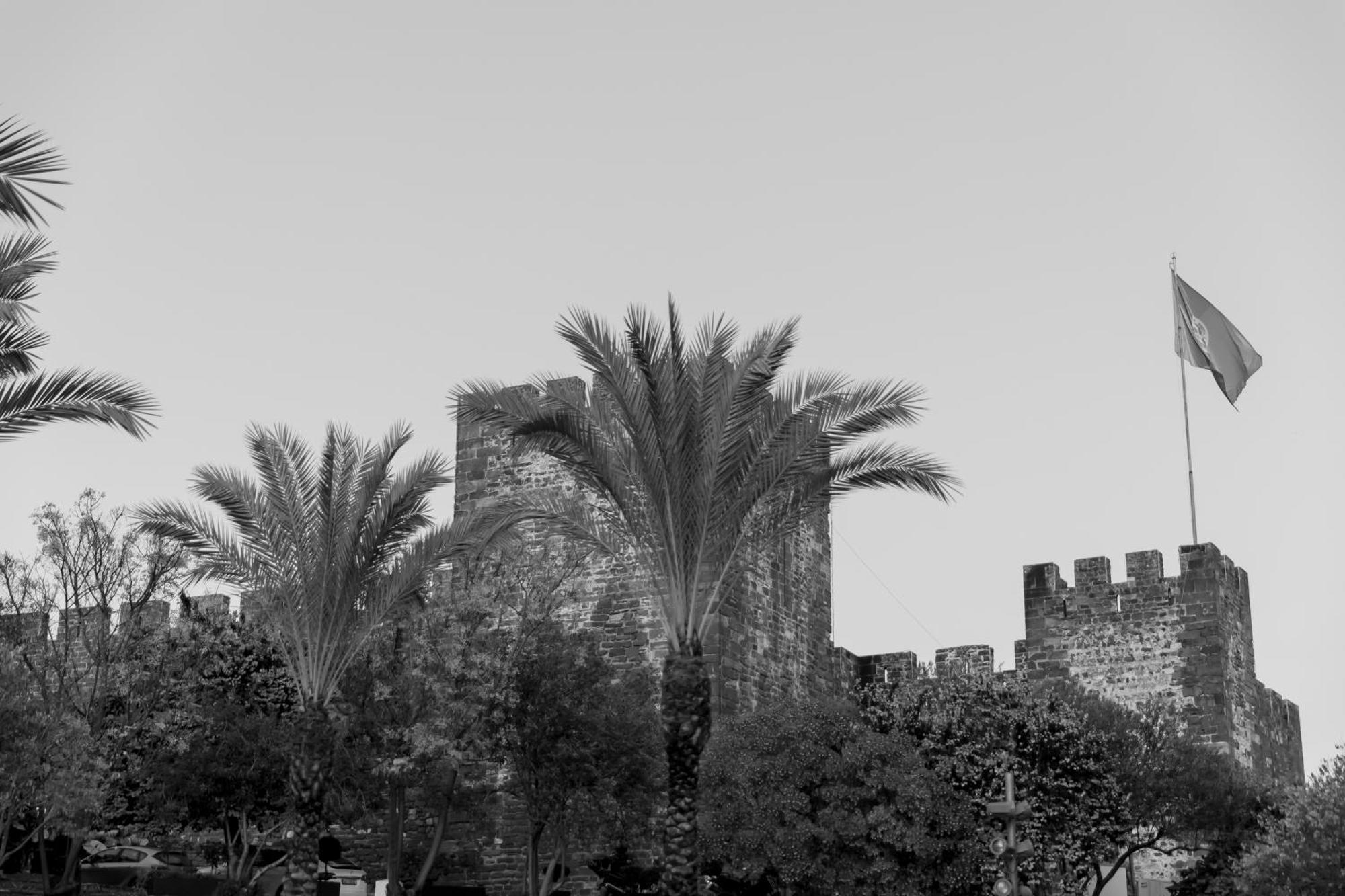 Portas Da Cidade Home سيلفيس المظهر الخارجي الصورة